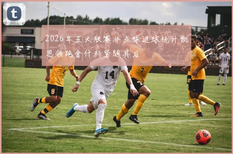 2026年五大联赛非点球进球统计凯恩领跑舍什科紧随其后