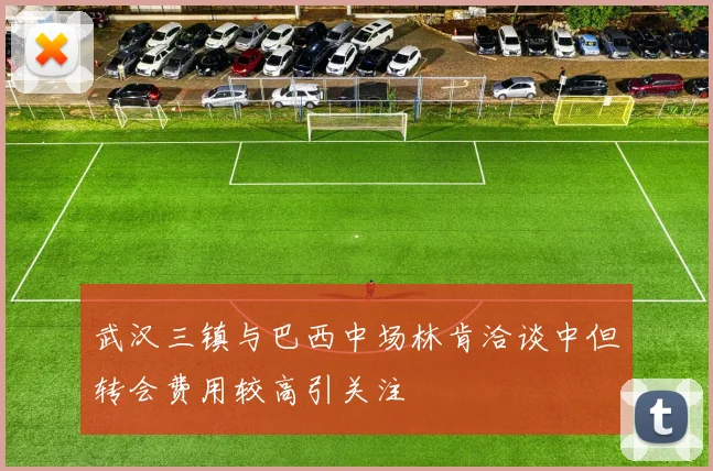 武汉三镇与巴西中场林肯洽谈中但转会费用较高引关注
